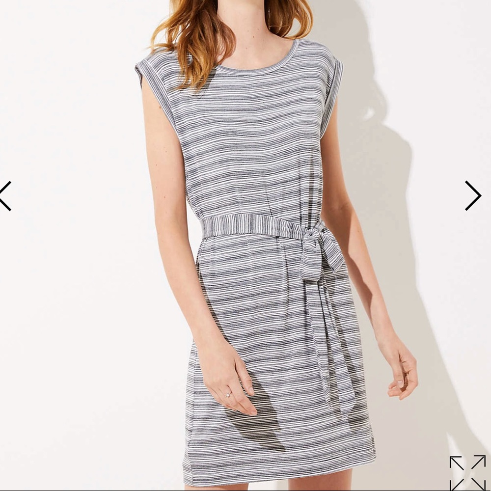 LOFT Belted Tee Dress NWOT